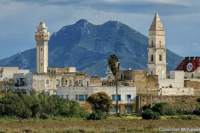 Da faccia a pesce, da falso a basta: ecco perch� in Tunisia si usano delle parole italiane